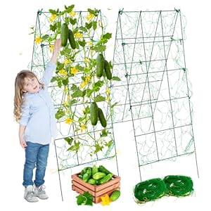 Pack 2 Heavy Metal Garden Trellis for Climbing Plants with Trellis Netting & Garden Clips,Cucumber Trellis for Climbing Plants Outdoor Metal,A-Frame Cucumber Trellis for Raised Bed (Pack 2) Pack 2 Heavy Metal Garden Trellis for Climbing Plants with Trellis Netting Garden ClipsCucumber Trellis for Climbing Plants Outdoor MetalA Frame Cucumber Trellis for Raised Bed Pack 2