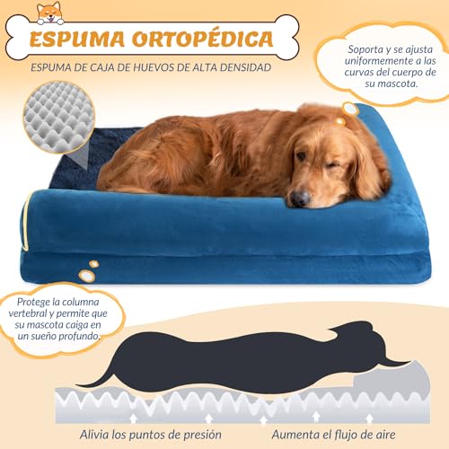 Review de Camas para perros soriana - solo los mejores. 27 Imagen adicional