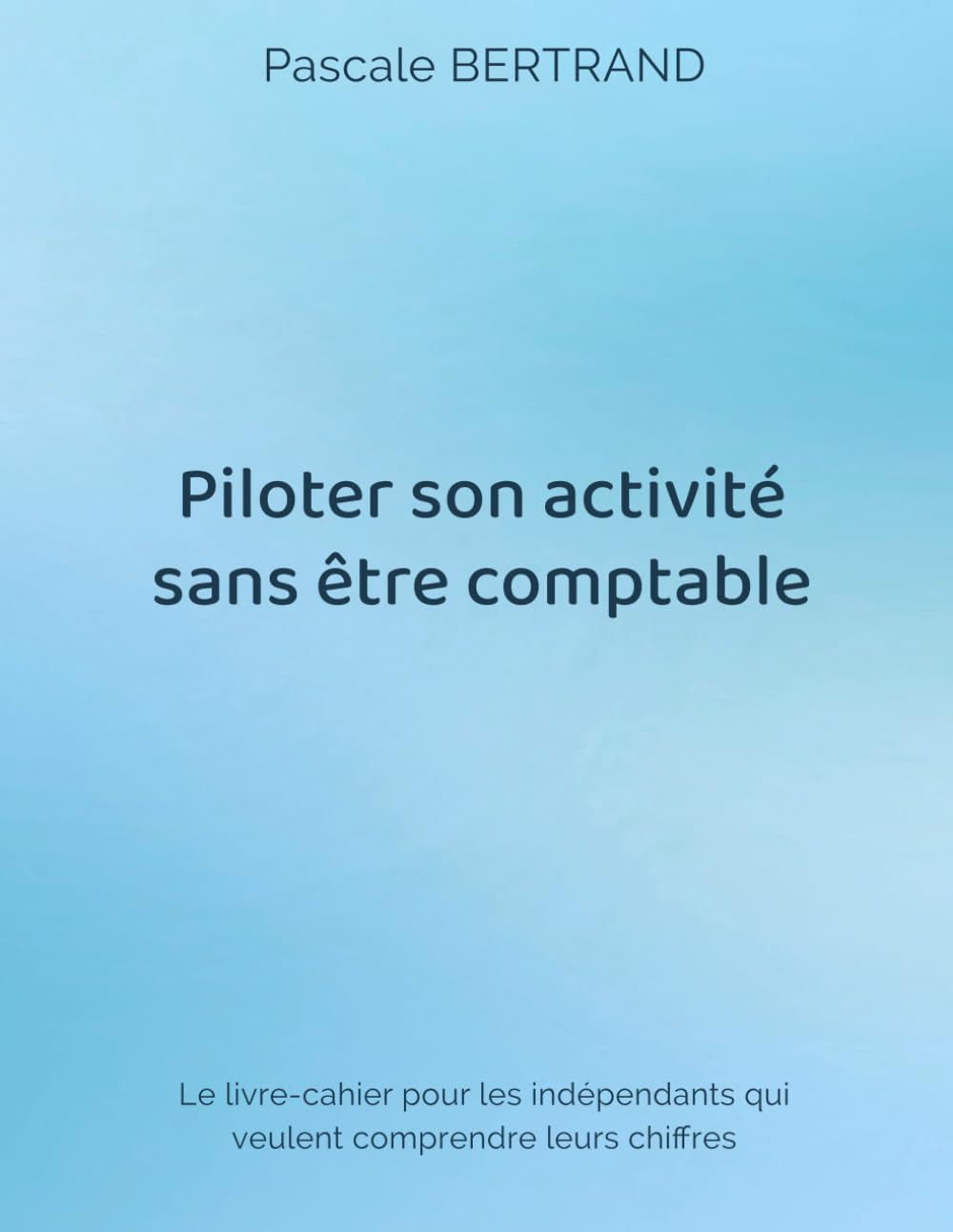Piloter son activité sans être comptable: LE livre-cahier pour les indépendants belges qui veulent comprendre leurs chiffres - format A4, 156p, éd 2026