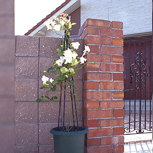 Garden Obelisk Trellis For Potted Climbing Plants Indoor And Outdoor,A Frame,Wrought Iron Pipe With Coating,Black … #TOP1