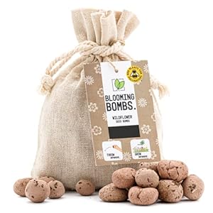 Sow Your Own – Wildflower Seed Bombs – Gardening Gift for Women – Wildflower Seeds – Bees and Butterfly Friendly…