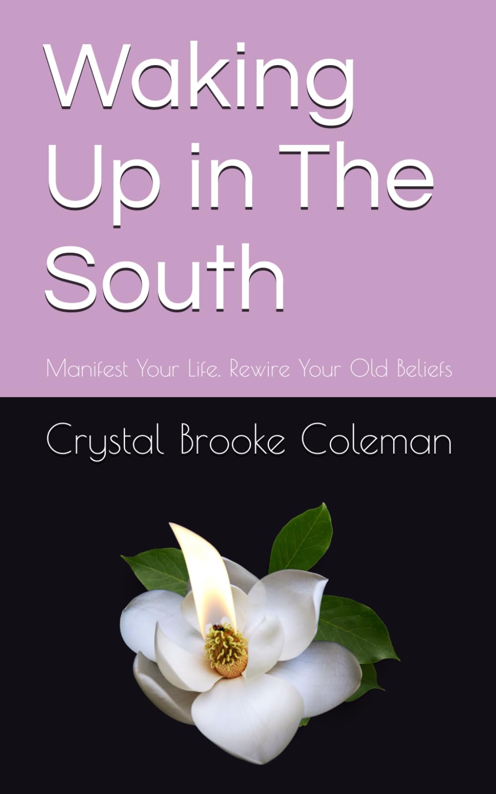 Waking up in the South: Manifest Your Life. Rewire Your Old Beliefs