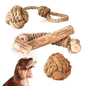 Alfred & Beebee Eco-Friendly Coffee Wood Dog Chew Toy Pack – for Regular Chewers – Dog Dental Chew