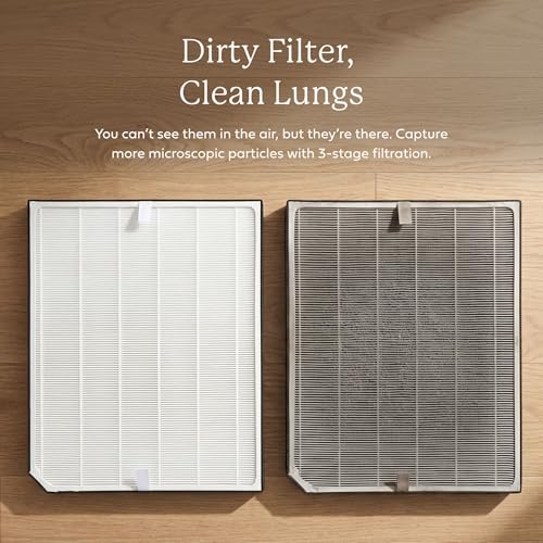 Image of Genuine AirDoctor AD3000 /3500 Replacement Filter. Includes 1 UltraHEPA filter. Guaranteed Quality & Performance. Removes Smoke, Pollen, Dust, Pet Dander