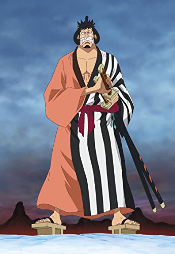 One Piece Punk Hazard Vol 2 DVD con audio original y subtítulos para fans 5