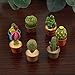 Produktbild Miniatur Garten Ornamente Winzige Kaktus Miniatur Sukkulenten Topf Puppenhaus Dekoration Mini Anlage 7 Stücke