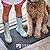 Sierra Concepts Front Door Mat Welcome Floor Mats - Entryway Indoor Outdoor Entrance Doormat, Patio, Porch, Muddy Shoe, Inside Outside Low Profile, 30x17 inches, 2-Pack Gray