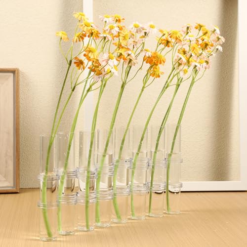 Vase hydroponique transparent Cabilock 15x2,2 cm pour plantes - 6