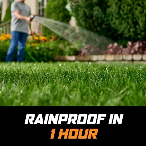 image for Ortho WeedClear Lawn Weed Killer Ready-To-Use with Comfort Wand, Kills