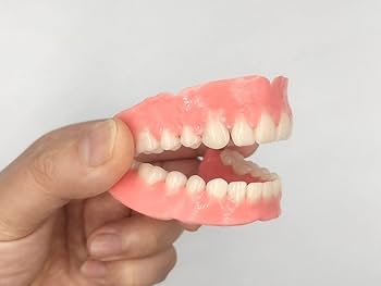 健康・医学 Best Denture Design Amazon.com: Denture Do it