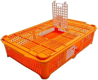 Hatching Time Chicken Transport Small 2 Door – Poultry Carrier Crate Holds Up to 18 Quail or 10 Partridge | Durable Plastic Chicken Cage | Stackable, Easy Clean, Heavy Duty Chicken Coop Accessory