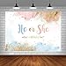 AIBIIN 7x5ft Gender Reveal Backdrop He or She What Will Baby Be Photography Background Watercolor Pastel Clouds Gender Reveal Party Decorations Cake Table Banner Supplies Photo Studio Props