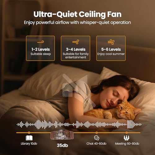 Image of 20 inch Farmhouse Wooden Caged Flush Mount Ceiling Fan with Lights, DC Motor, 6 Speeds Remote Control, Low Profile Bladeless Fandelier for Bedroom, Kitchen, Living Room