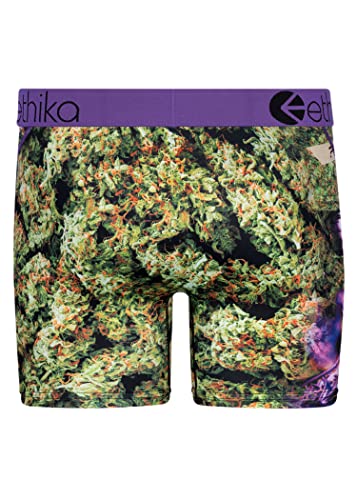 Ethika Men’s Mid Boxer Brief, 4-Way Stretch Performance Underwear with Graphic Prints – Green House - Mid (GRN, L)3