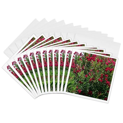 Cartes de vœux fleurs rouges 3dRose | Lot de 12 formats 15x15 cm pour enveloppes