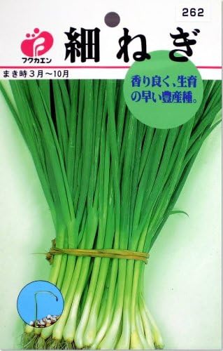 Amazon ねぎ 細ねぎ タネ 野菜 Amazon ねぎ 細ねぎ タネ 野菜