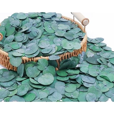 3200Preserved Real Eucalyptus Leaves Small, Pure Natural Bulk Eucalyptus, Biodegradable Wedding Leaves Confetti for Anniversaries, Birthday, Graduation, Bridal Showers, Baby Shower Party Decor Cover