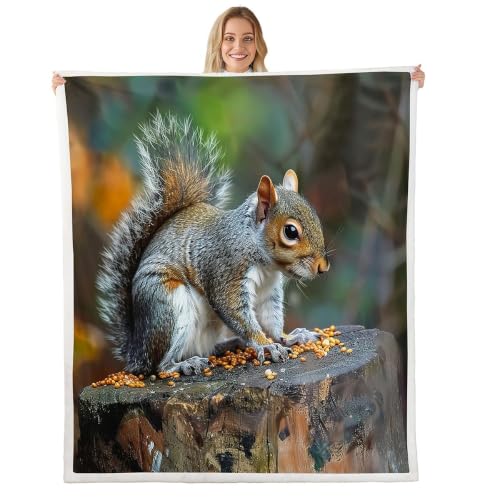 Feelyou Squirrel Sherpa Blanket 30"x40" Boys Girls Gift Sofa Warm