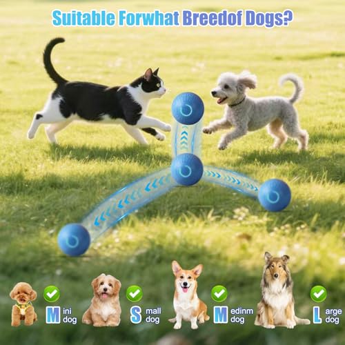 DAILINK Interaktiver Ball für Hunde, wiederaufladbar, 67 mm, Spielzeugball für Hunde, mit LED, schwimmend, langlebig, hoher Rückprall für Welpen, klein und mittelgroß