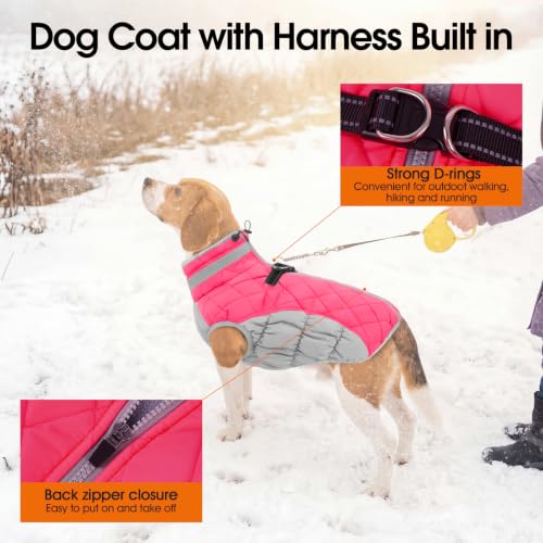 Image of Lelepet Dog Coat Warm Dog Winter Coat Waterproof Dogs Jacket with Harness