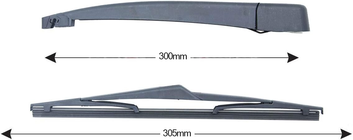 ARM AND WIPER BRUSH 305 mm