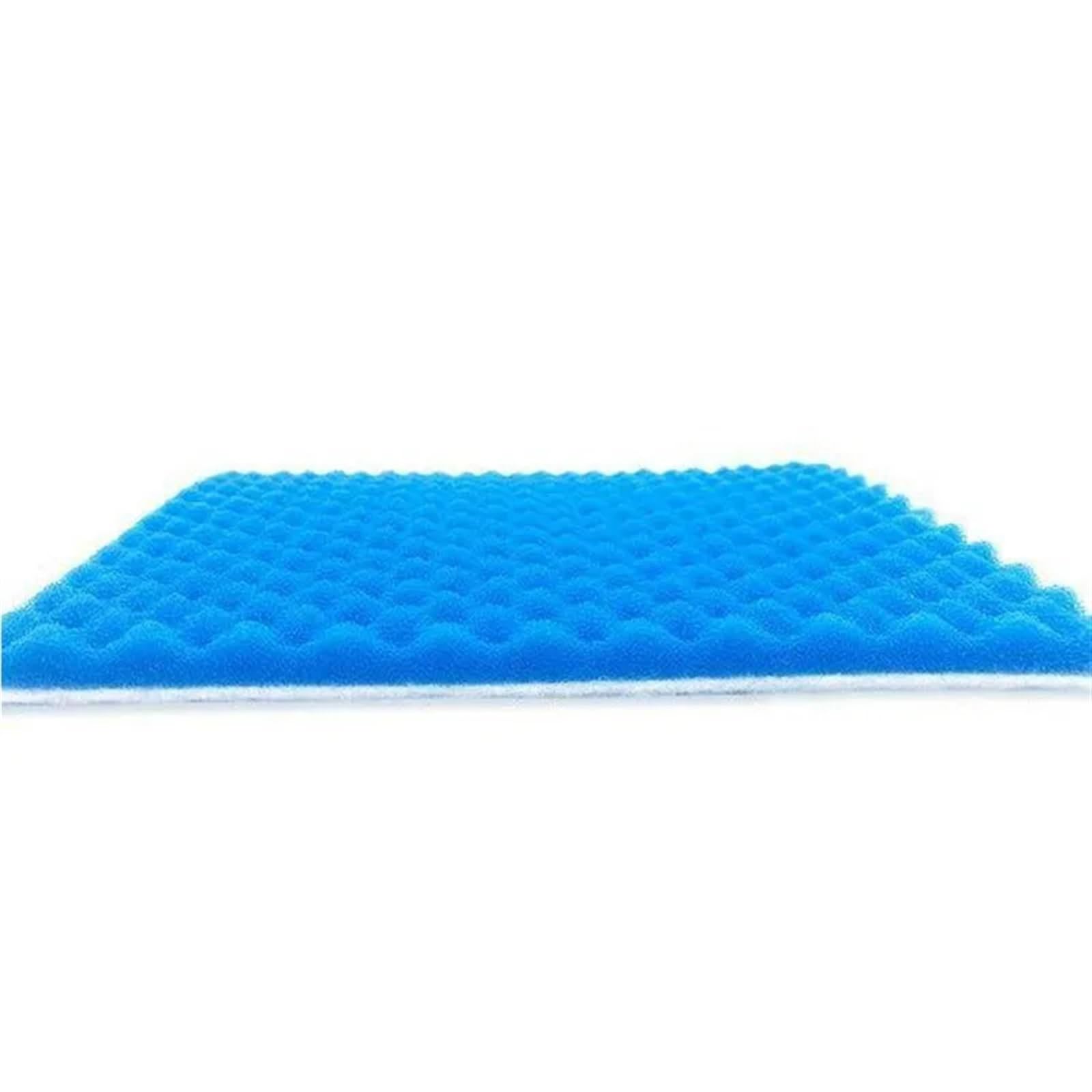 Tampone for Supporto filtrante in Spugna rium