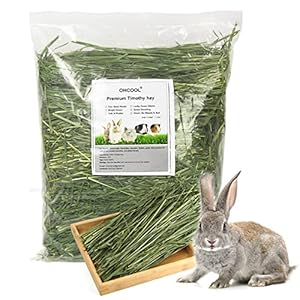 Timothy Hay 1.1LB – Dust Free Natural Green Fresh Food Hay for Rabbits Tortoise Guinea Pig Chinchilla