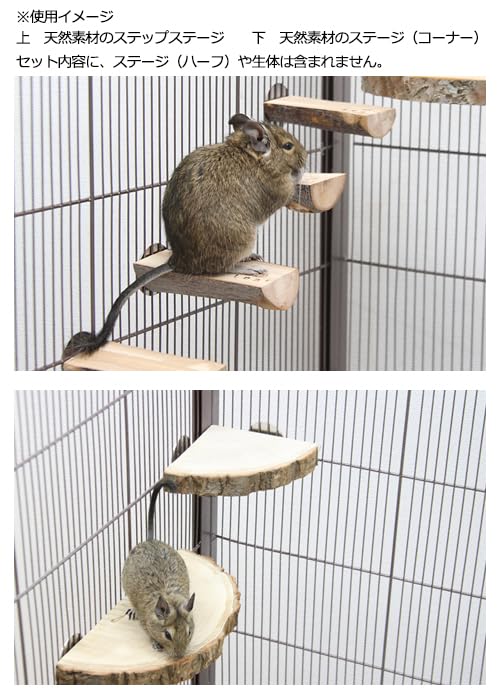 【デグー】飼育用品 色々 楽天市場】デグー 飼育セット（ペット・ペットグッズ）の通販
