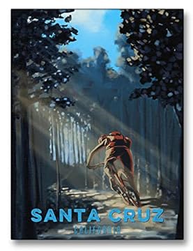 santa cruz cross country mountain bike