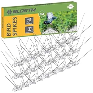 BLOSTM Duivenpinnen Van Roestvrij Staal – Anti Vogel Spikes, Vogelafweer voor Balkon, Ramen, Hek en Dak – Stopt Duiven, Kraaien, Meeuwen, Eekhoorns en Katten – 3 Meter (12 Stuks van 25 cm)