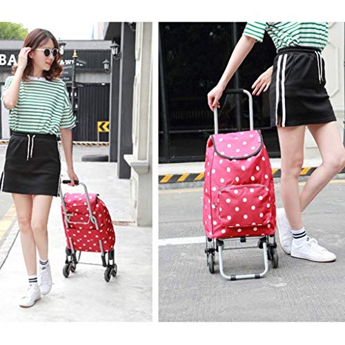 Tragbarer Einkaufswagen, 2/3 Räder, leicht, faltbar, flippig, Musik, Festival, Einkaufstrolley, Gepäcktasche… – Bild 6