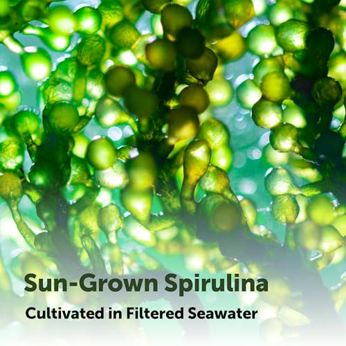 Micro Ingredients Organic Spirulina Tablets
