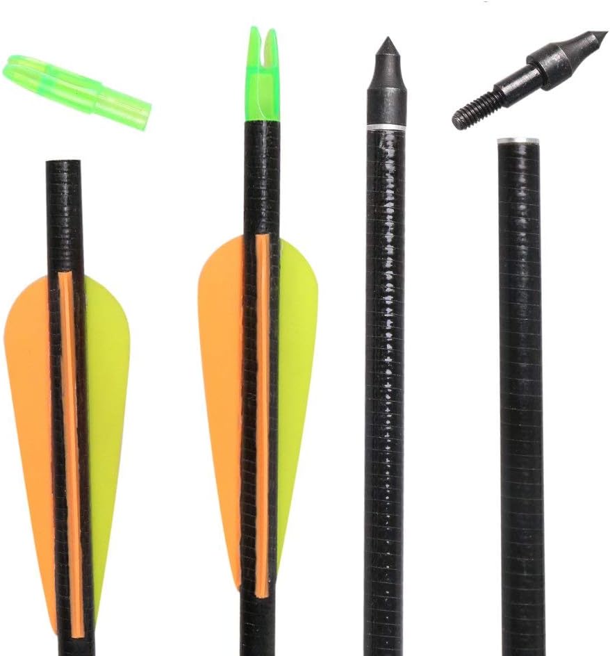 Huntingdoor Archery 31" Fiberglass Hunting Arrows Fiberglass Target Practice Arrows with Screw-in Tips for Recurve or Compound Bow(Pack of 12) : Sports & Outdoors