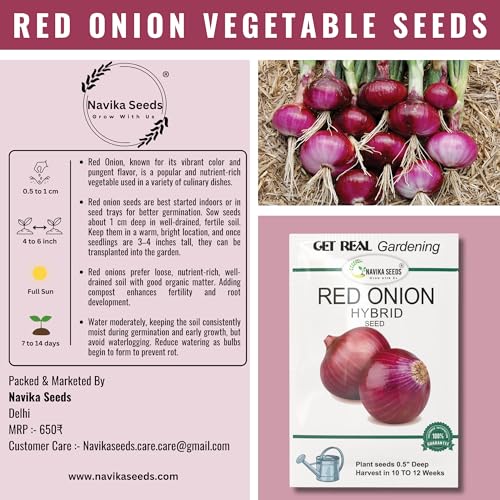 Image of Navika Seeds Red Onion & White Onion Seeds Combo (2 x 5g) for Home Gardening & Farming | High Germination | Organic Vegetable Seeds | Free Growing Guide Included