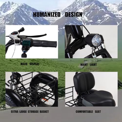 Triciclo elettrico per adulti, adatto a ragazzi e adulti, 500W 48V, 20" Fat Tire, 3 ruote, con batteria rimovibile e kit di attrezzi, adatto a tutti i terreni.