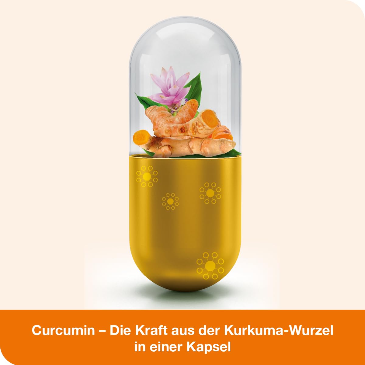 curcumin-Loges® - 120 Kapseln - Nahrungsergänzungsmittel mit hoch bioverfügbarem Curcumin und Vitamin D