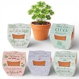 MIJOMA Juego de 5 piezas de trébol de la suerte en maceta de barro, amuleto de la suerte para plantar, regalo de Año Nuevo, decoración de boda, varios diseños