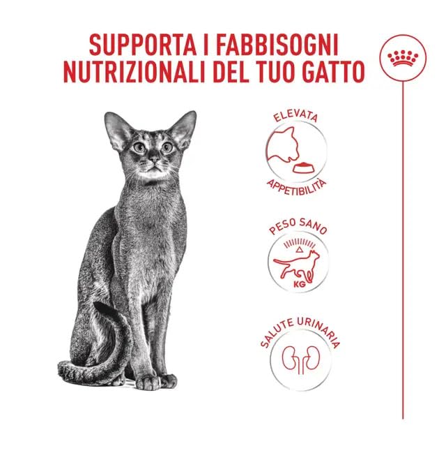 Amazon | ロイヤルカナン FHN セイバーエクシジェント 猫用 2kg