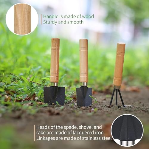Kit de herramientas mini jardín suculentas 8 piezas miniatura 4