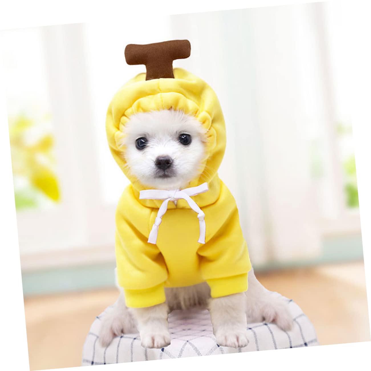 Beavorty 3 Pezzi Adorabile Cucciolo Maglione-maglietta Caldo Vestiti Per Cani Per Cane Autunno Abbigliamento