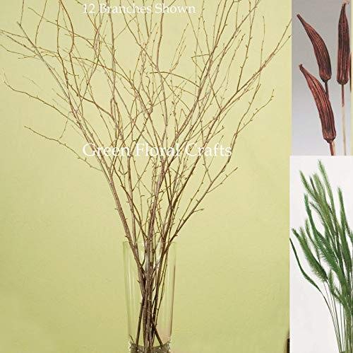 Green Floral Crafts - Natural Birch, 3-4 feet Tall, 24 Branches, Pods & Feather Millet