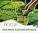 LUCKY PLANT Moss Terrarium Beding Live Moss Terrarium Moss for Reptiles Peat Moss for Reptiles Habitat Bedding Moss for Snakes Turtle Frog Gecko and Other Reptiles Substrate Composite 3