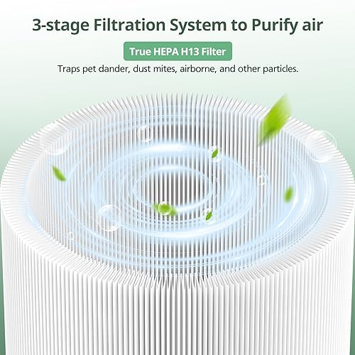 1 Pack 211i Max Replacement Fil-ter Compatible with BLUEAIR Blue Pure 211i Max Air Pur-ifier, Ture HEPA & Activated Carbon Replacement Fi-lter