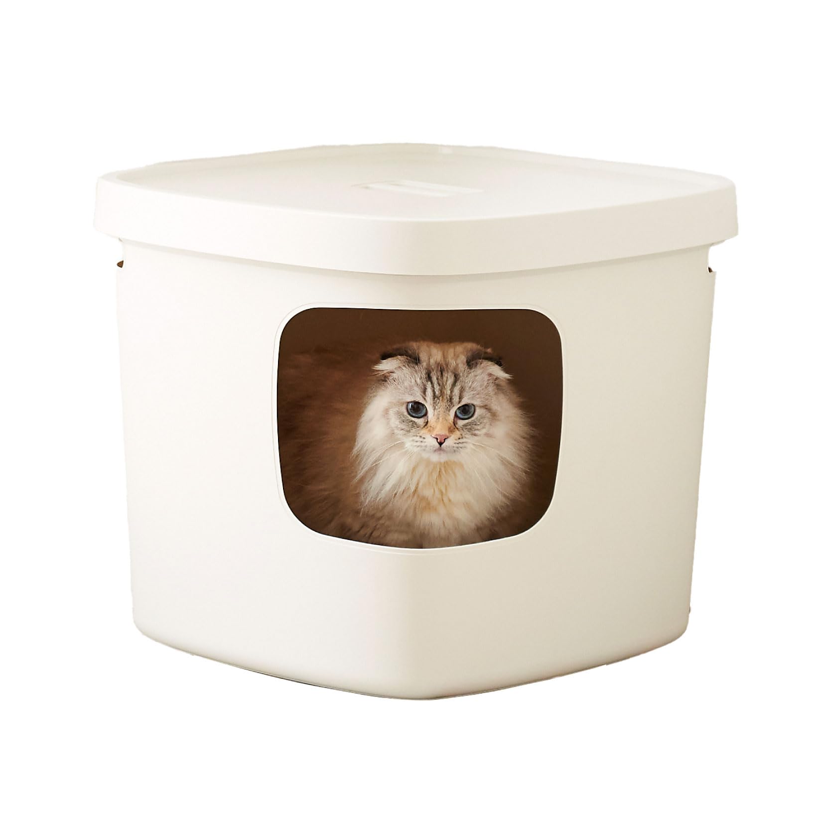 Amazon | 【OFT】 Cubana(クバーナ) トイレ 猫 ネコ ねこ 大型 大きい