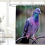 FIBITA Duschvorhang 120 x 200 Taube Shower Curtains Taube Badezimmer Vorhang Vogel Duschvorhang Antischimmel Wasserdicht 3D Duschvorhänge Badewannen Waschbar