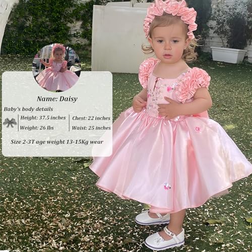 Girls' Dresses Flying Sleeve Puffy Princess Dresses Flower Girl Wedding Birthday Party Dresses2