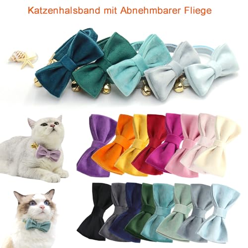 Personalisiertes Katzenhalsband mit Namensschild, verstellbares Samt Katzenhalsband mit Glocke, Haustier Halsband mit Name Telefonnummer Gravierte ID Tags (Cream)