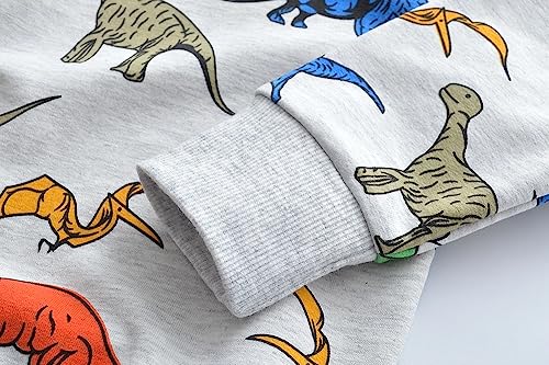 Image of AIWUHE Toddler Cotton Sweatshirt Boys Girls Pullover Long Sleeve Tops 2-6Y