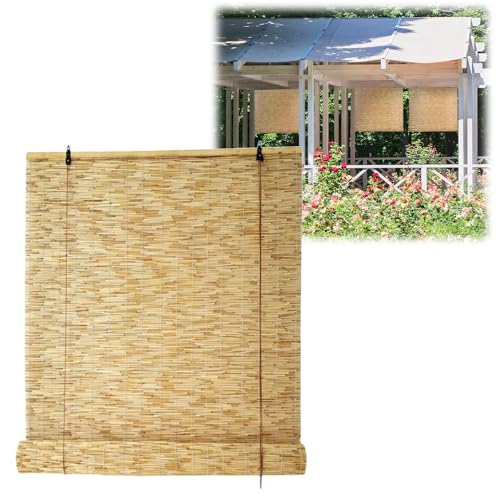 ̃uChO VÂ 50 60 80 120 155 160 170cm 90 110 130 145 150 180 220 260 280cm | |  ډB Ղ ̉x㏸}鈯̃J[e (TCY