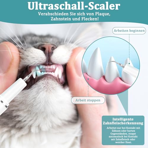 Yogaret Zahnsteinentferner Hund Ultraschall, Zahnreiniger für Haustiere, Zahnpflege Set, Zahnreinigung und Reinigungsset für Hunde Katze, IPX6 Zahnreinigung Set mit Austauschbare Reinigungsköpfe